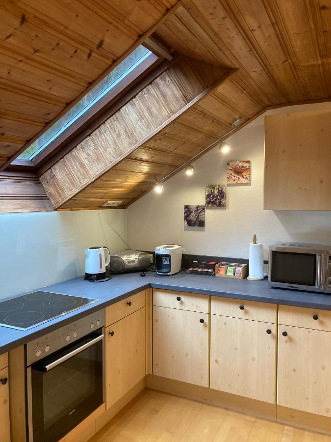 Apartment Stadler Obertraun Extérieur photo