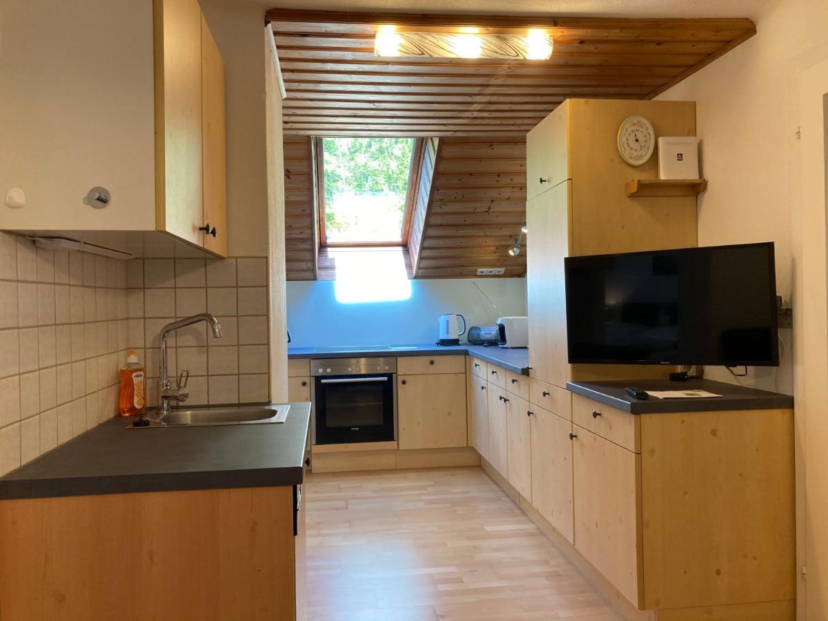 Apartment Stadler Obertraun Extérieur photo