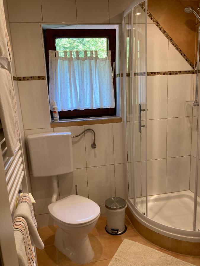 Apartment Stadler Obertraun Extérieur photo